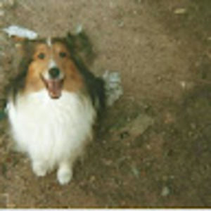 Meet your Posher, Jay